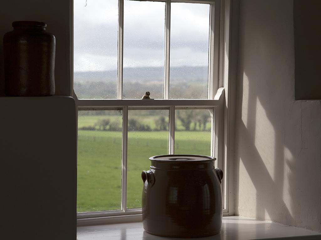 Bagenalstown Kilgraney House 게스트하우스 외부 사진